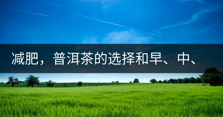 減肥，普洱茶的選擇和早、中、晚的喝法