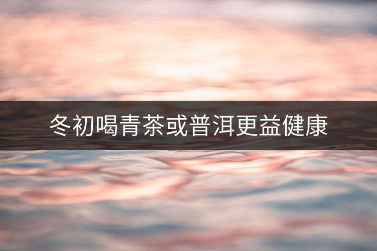 冬初喝青茶或普洱更益健康