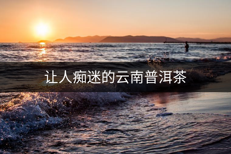 讓人癡迷的云南普洱茶 讓人癡迷的云南普洱茶