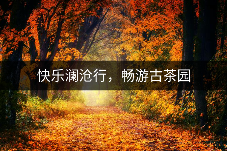 快樂瀾滄行，暢游古茶園