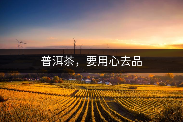 普洱茶，要用心去品