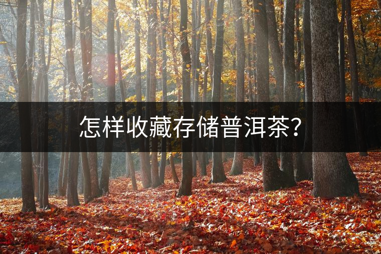 怎樣收藏存儲(chǔ)普洱茶？