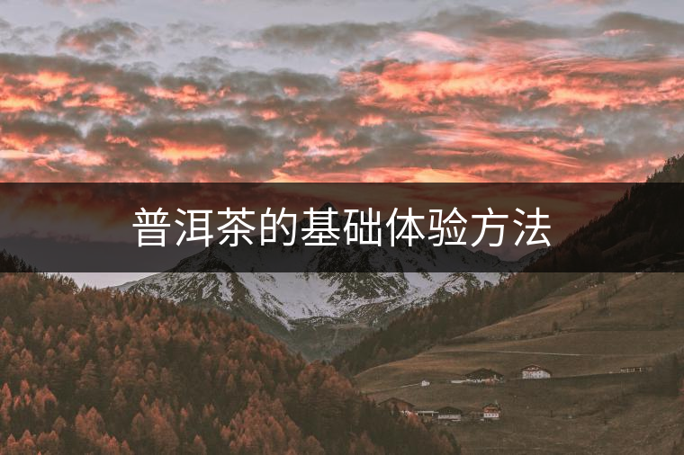 普洱茶的基礎(chǔ)體驗方法 普洱茶的基礎(chǔ)體驗方法