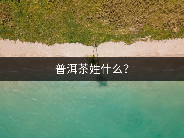 普洱茶姓什么？