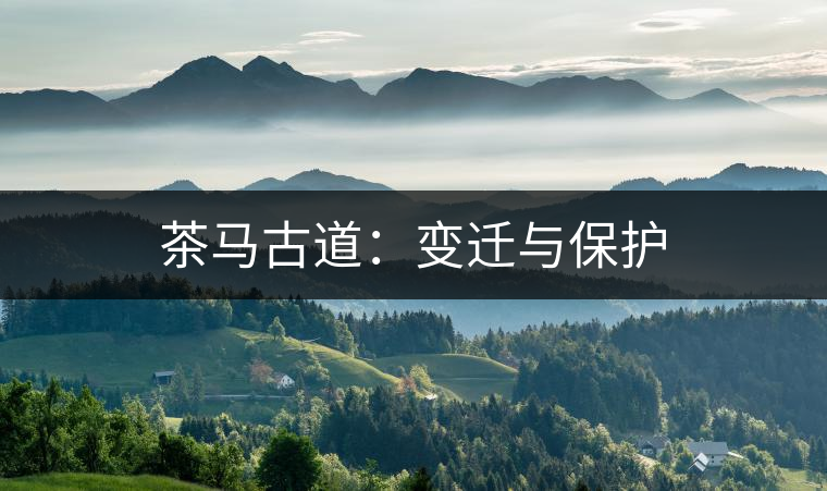 茶馬古道:變遷與保護 茶馬古道:變遷與保護