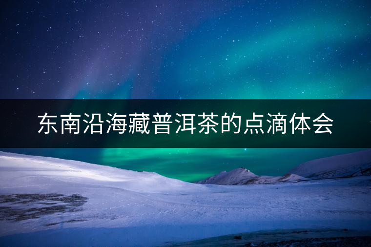 東南沿海藏普洱茶的點(diǎn)滴體會 東南沿海藏普洱茶的點(diǎn)滴體會