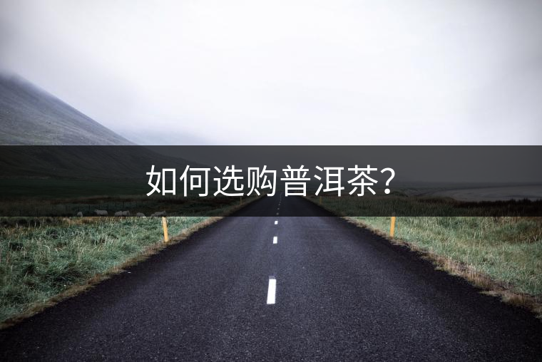 如何選購(gòu)普洱茶？