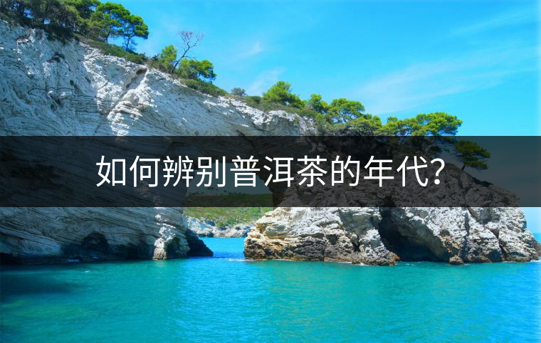 如何辨別普洱茶的年代？