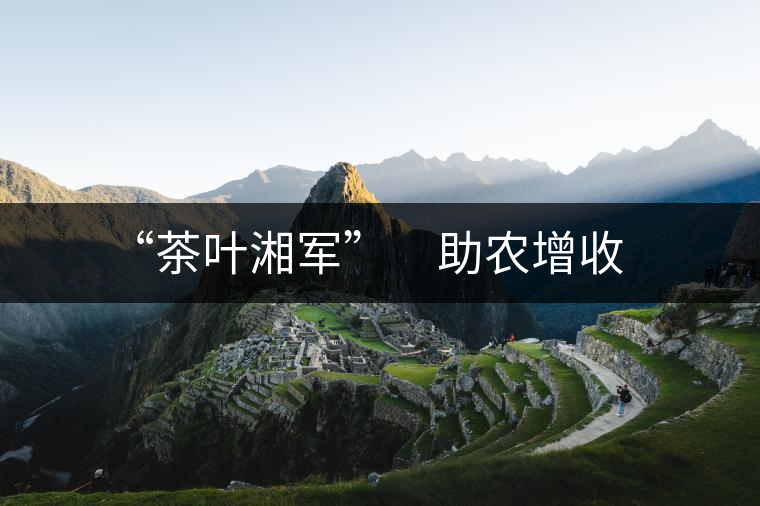 “茶葉湘軍”　助農(nóng)增收