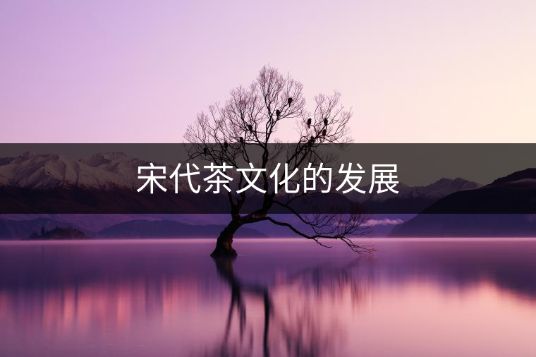 宋代茶文化的發(fā)展