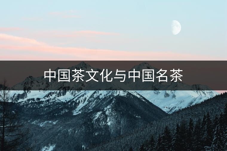 中國(guó)茶文化與中國(guó)名茶