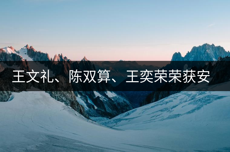 王文禮、陳雙算、王奕榮榮獲安溪茶界三杰