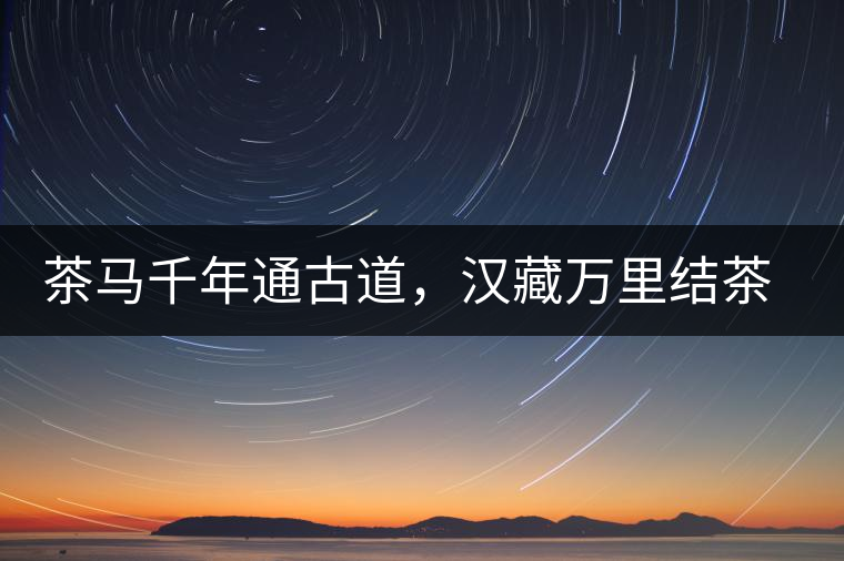 茶馬千年通古道，漢藏萬里結(jié)茶緣