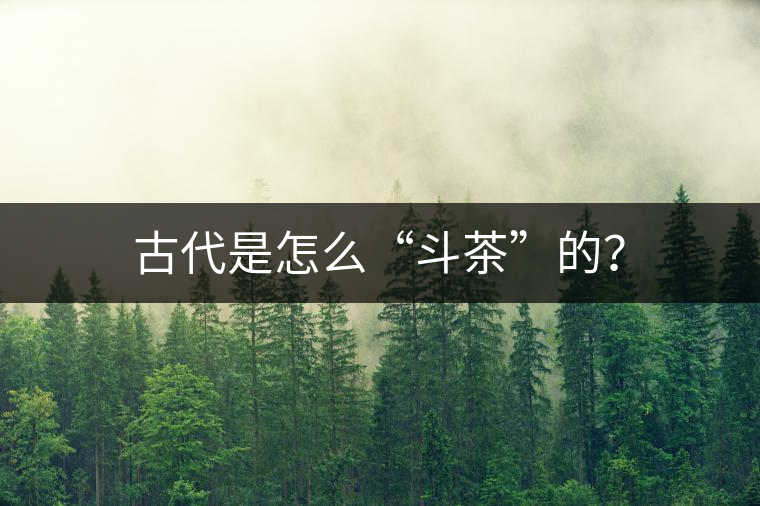 古代是怎么“斗茶”的？