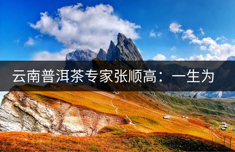 云南普洱茶專(zhuān)家張順高：一生為茶付出