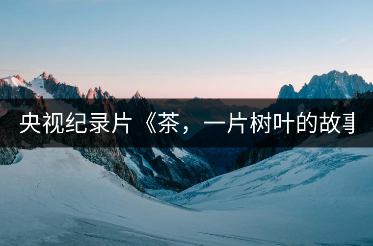 央視紀錄片《茶，一片樹葉的故事》紀錄片 昨晚開播
