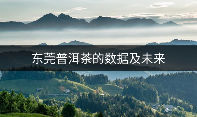 東莞普洱茶的數(shù)據(jù)及未來(lái) 東莞普洱茶的數(shù)據(jù)及未來(lái)