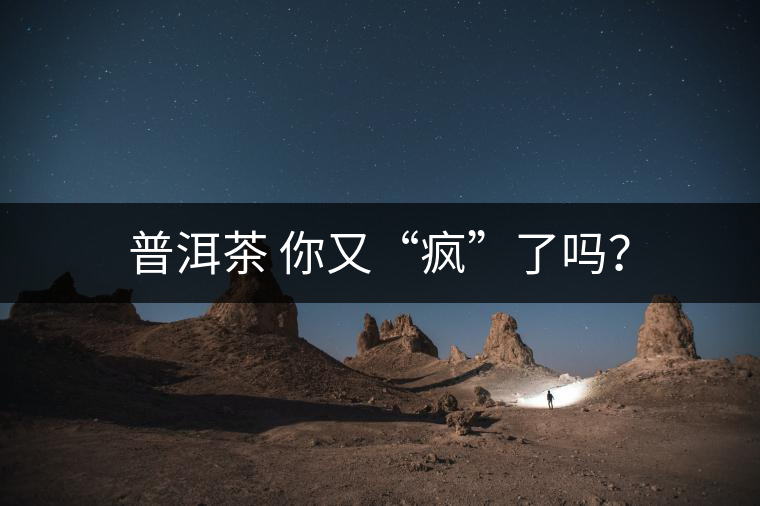 普洱茶 你又“瘋”了嗎？