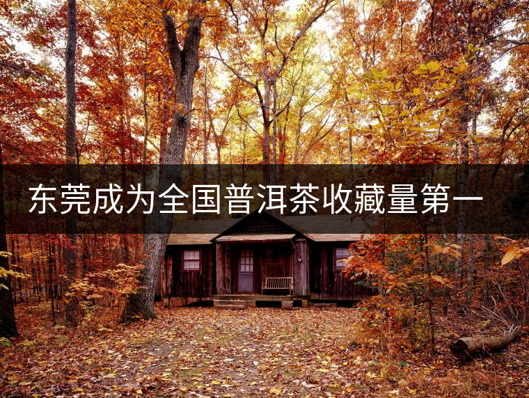 東莞成為全國(guó)普洱茶收藏量第一位的城市？