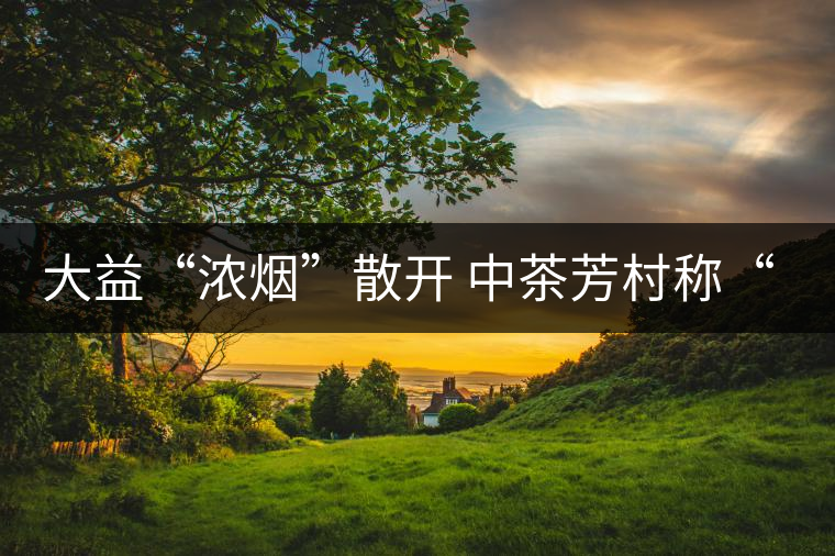 大益“濃煙”散開 中茶芳村稱“王”？