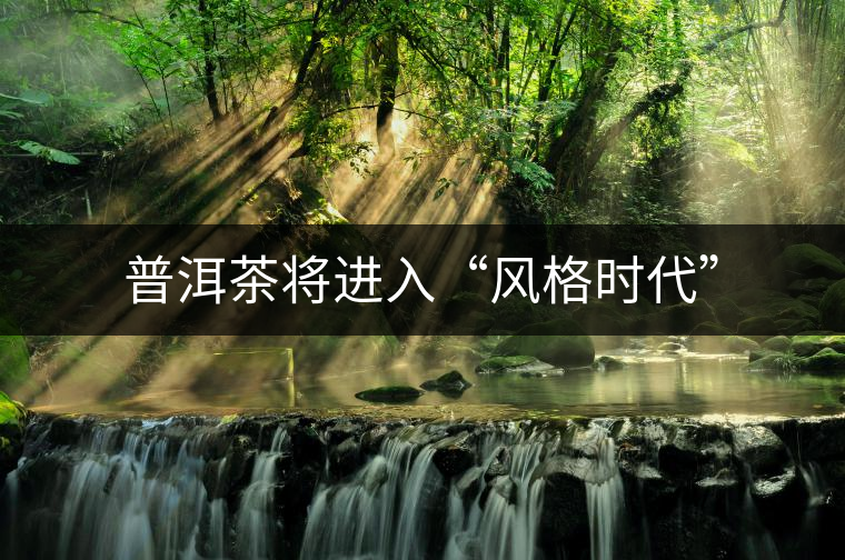 普洱茶將進入“風(fēng)格時代” 普洱茶將進入“風(fēng)格時代”