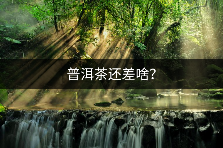 普洱茶還差啥？