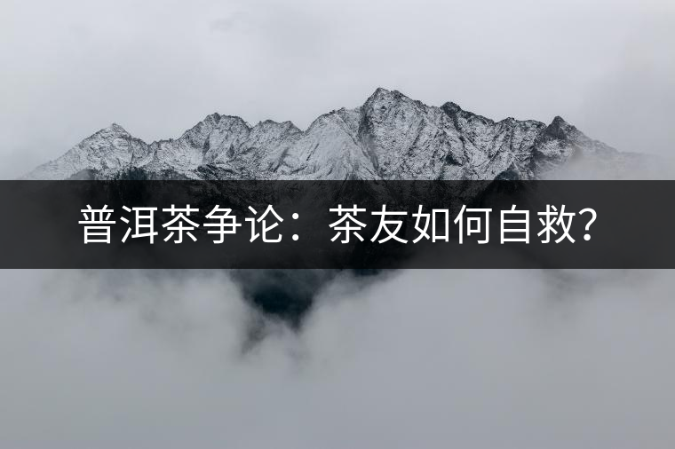 普洱茶爭論：茶友如何自救？