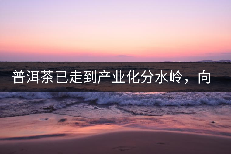 普洱茶已走到產(chǎn)業(yè)化分水嶺，向左還是向右？