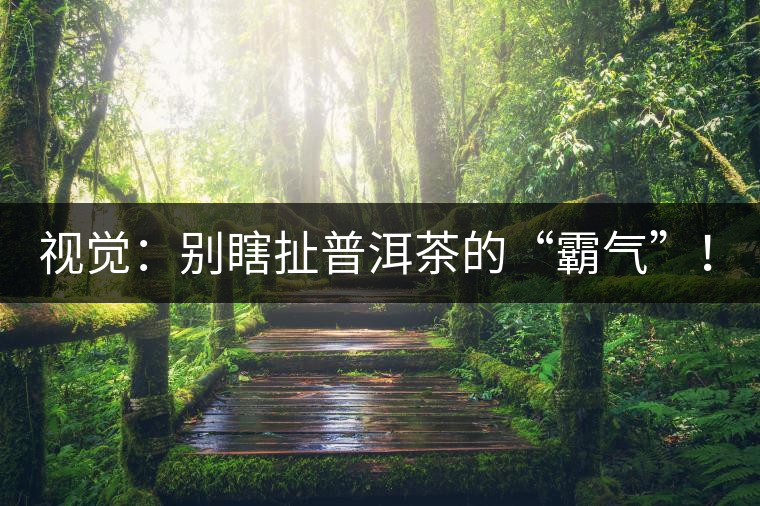 視覺：別瞎扯普洱茶的“霸氣”！偽大師！