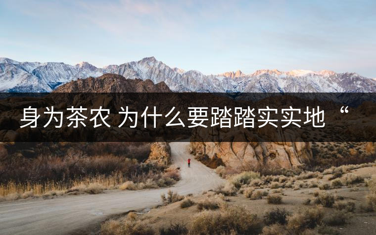 身為茶農(nóng) 為什么要踏踏實實地“放毒”！