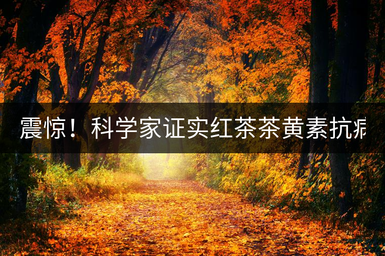 震驚！科學家證實紅茶茶黃素抗病毒新功能！