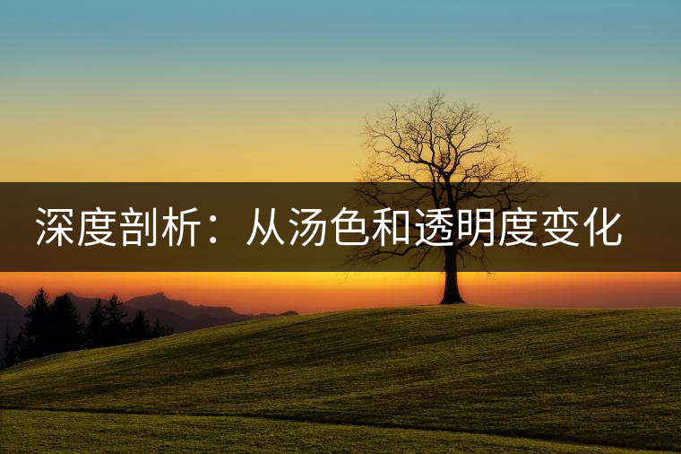 深度剖析：從湯色和透明度變化 看普洱茶的好壞