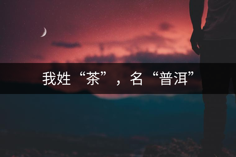 我姓“茶”，名“普洱”
