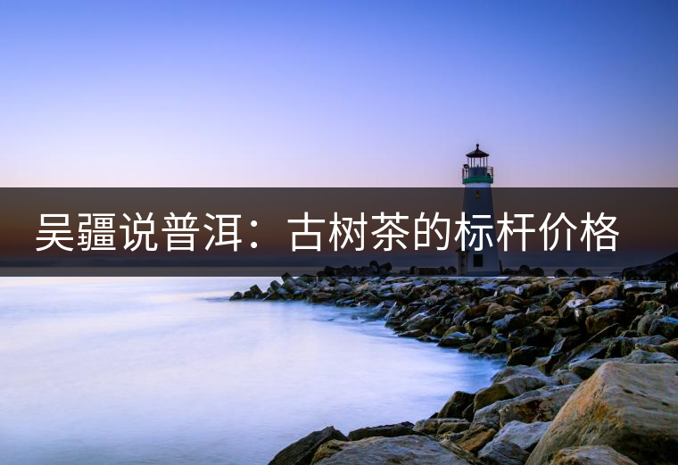 吳疆說普洱：古樹茶的標桿價格在哪里？