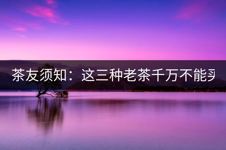 茶友須知：這三種老茶千萬不能買！
