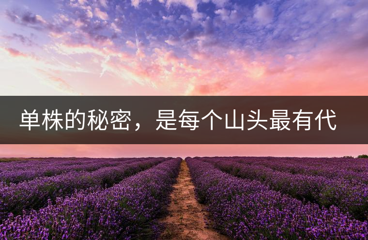 單株的秘密，是每個山頭最有代表性的味道？
