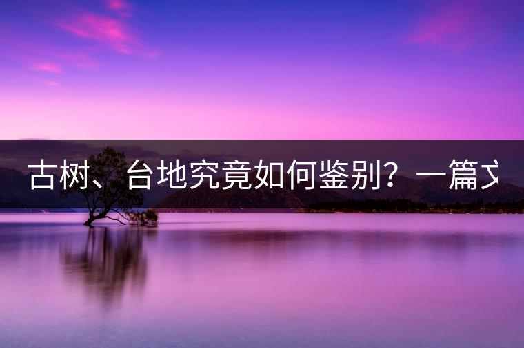 古樹(shù)、臺(tái)地究竟如何鑒別？一篇文章說(shuō)透！