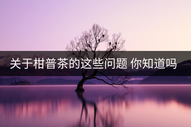 關(guān)于柑普茶的這些問(wèn)題 你知道嗎？（值得收藏）
