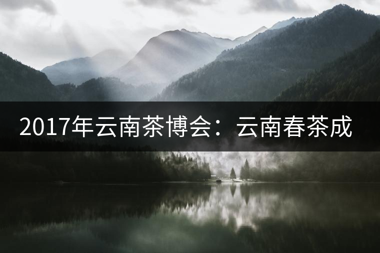 2017年云南茶博會：云南春茶成品茶價格上漲，平均每公斤達(dá)94.31元