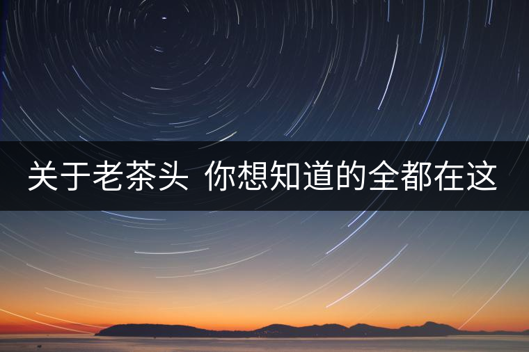 關(guān)于老茶頭  你想知道的全都在這兒啦！
