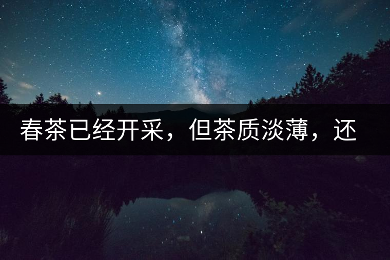 春茶已經(jīng)開采，但茶質(zhì)淡薄，還需一兩周
