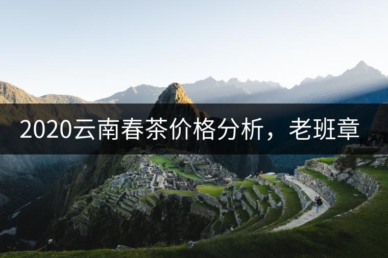 2020云南春茶價格分析，老班章依然將獨占鰲頭？