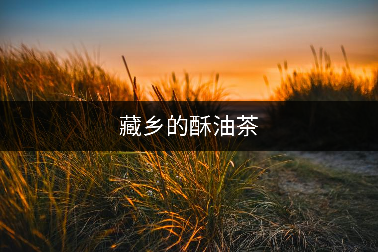 藏鄉(xiāng)的酥油茶 藏鄉(xiāng)的酥油茶