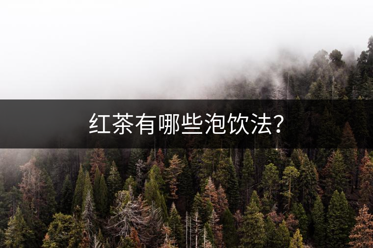 紅茶有哪些泡飲法？