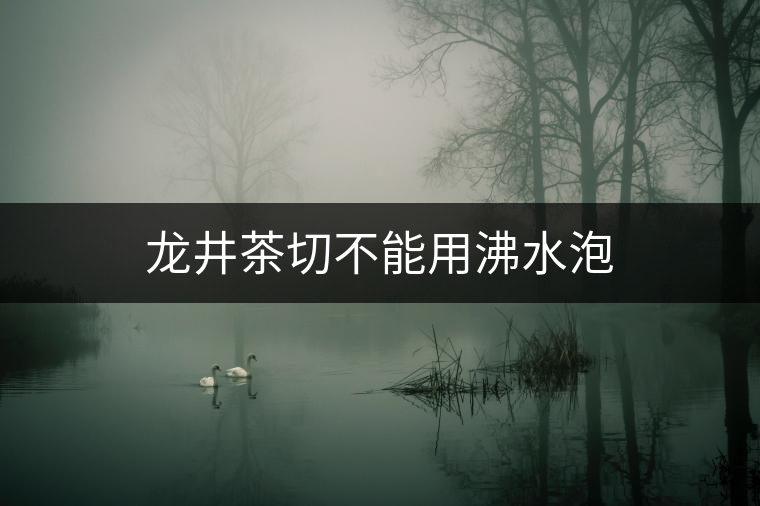 龍井茶切不能用沸水泡