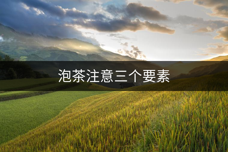 泡茶注意三個要素