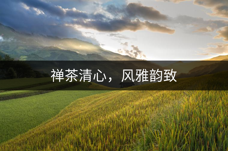 禪茶清心，風(fēng)雅韻致