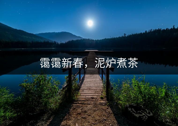 靄靄新春，泥爐煮茶