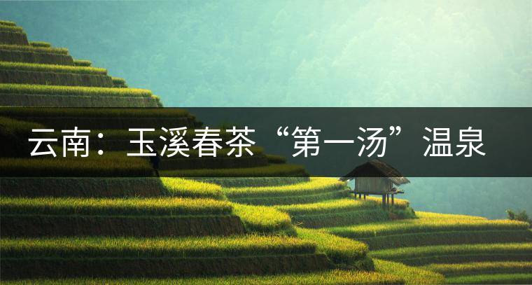 云南：玉溪春茶“第一湯”溫泉里飄香