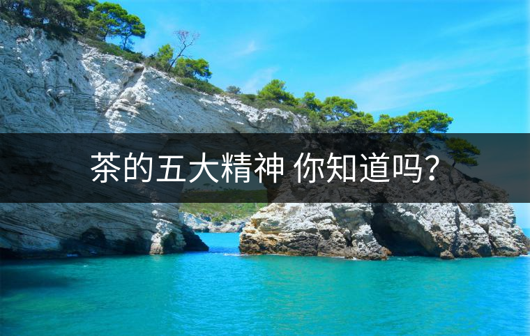 茶的五大精神 你知道嗎？
